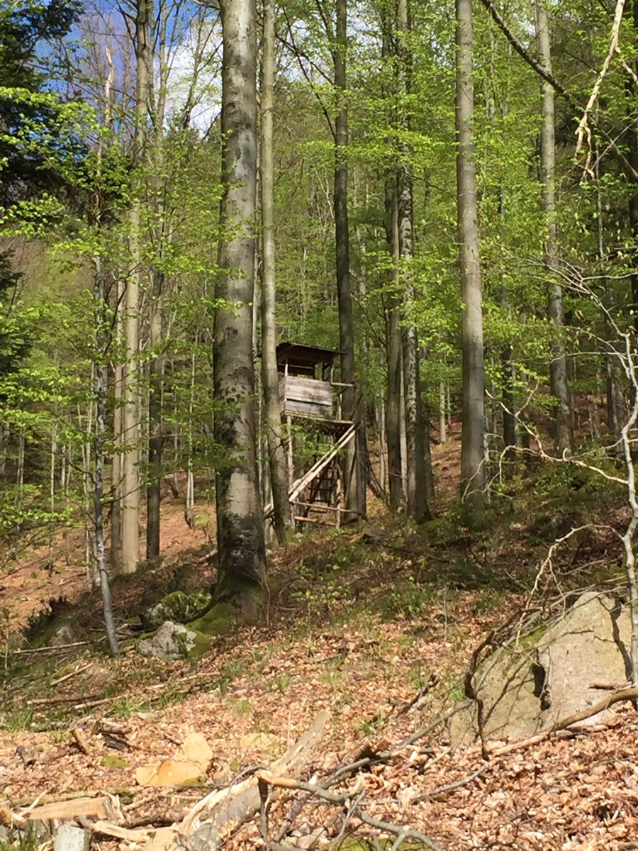 AnThoKri's tweet image. Ein #Hochsitz für den @irgendlink  
;-)