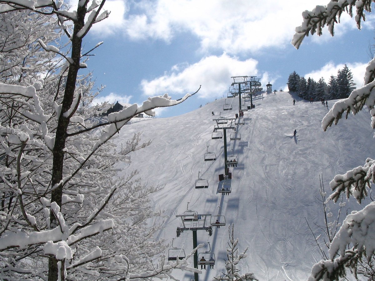 cvcfoundation's tweet photo. What a wintery day! Feels like January, but it is apparently April. Well, it does make it the perfect day to thank @CaledonSki for donating a Family Day on the Hill to our #ConservationGala silent auction! #icestormTO #onstorm #snowday @CVC_CA https://t.co/aYk9eCVyMt