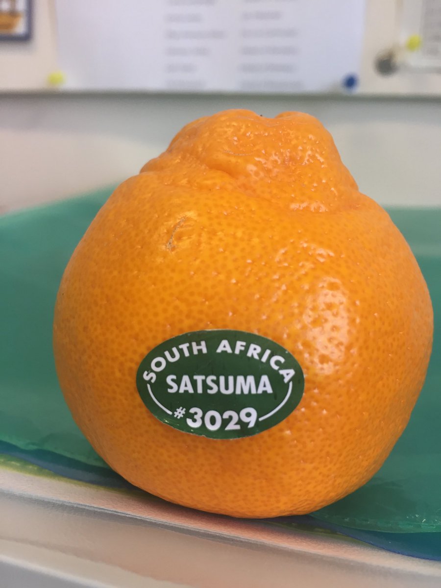 sjangove's tweet photo. I still see this as a naartjie even though I have been back from SA nearly 14 years #satsuma #naartjie 🇿🇦🇬🇧 🍊 https://t.co/SJkAi9lsSD