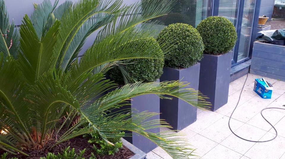 OutsideOptions's tweet image. Putting the finishing touches to this City Center roof garden.
outsideoptions.ie