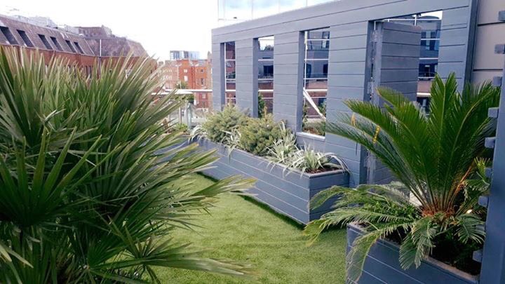 OutsideOptions's tweet image. Putting the finishing touches to this City Center roof garden.
outsideoptions.ie