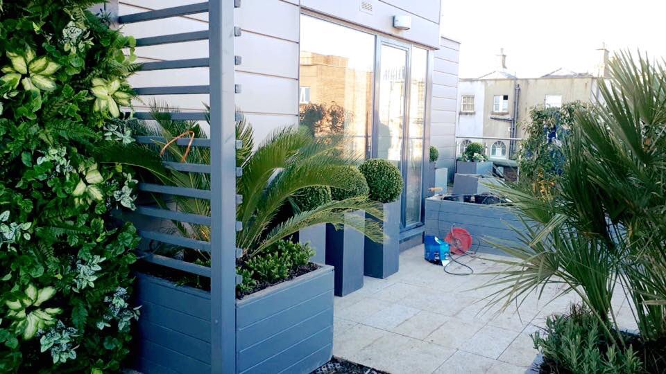 OutsideOptions's tweet image. Putting the finishing touches to this City Center roof garden.
outsideoptions.ie