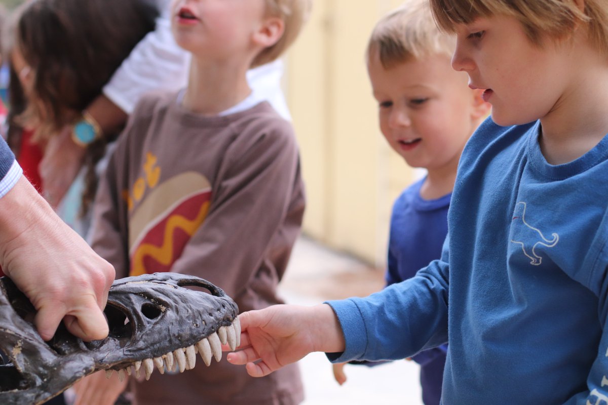 HIESbears's tweet photo. HIES Global Scholar in Residence and paleoanthropologist, Marc Kissel, Ph.D., introduces Primary School students to archaeology! #805scholar #HIESGlobal https://t.co/ZDVziJJ95s