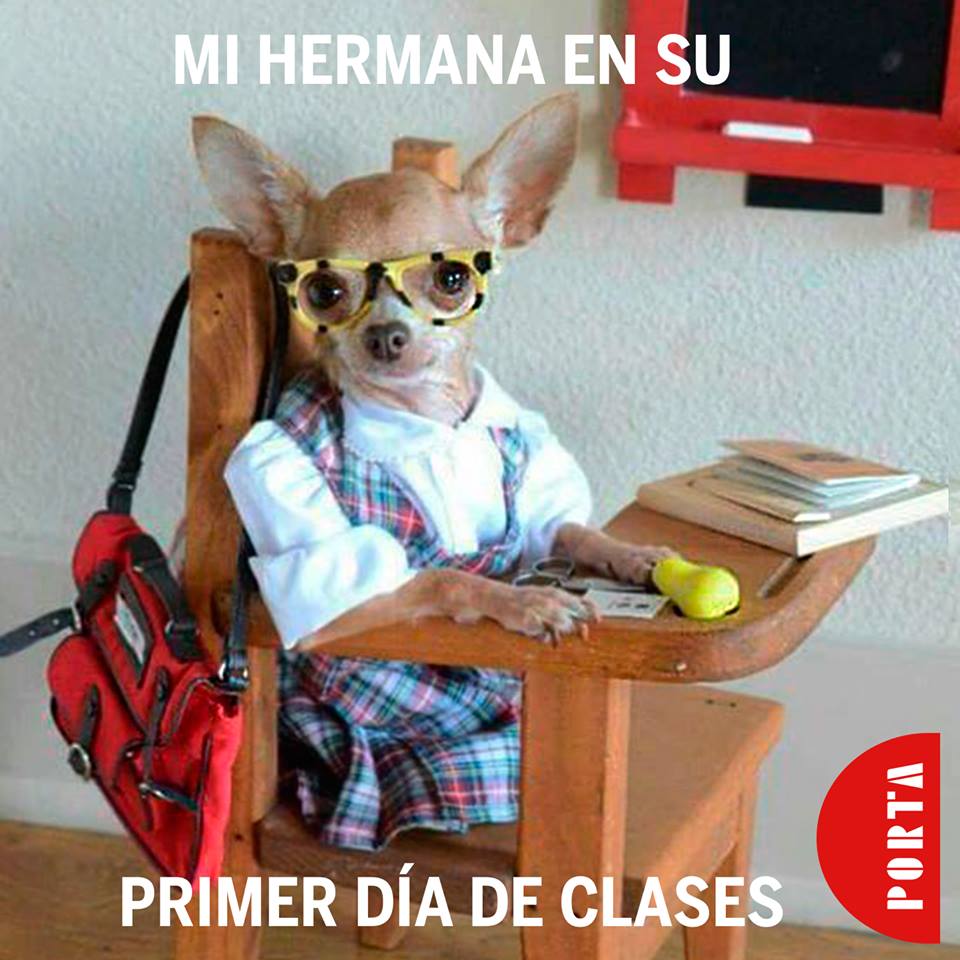 ¡Etiqueta a tu hermana en su primer día de clases!
#Porta #MasQueMochilas #Inspiracion https://t.co/vWaDKHnLg3