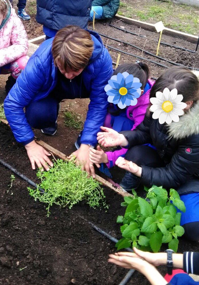 BClasseterza's tweet photo. Il nostro #ortosinergico sta prendendo forma e noi lo curiamo con #amore ❤️ #piantearomatiche #scuolafamiglia #graziemammalucia #3b #bimbibelli #bambinifelici https://t.co/IyVWdxG7o4