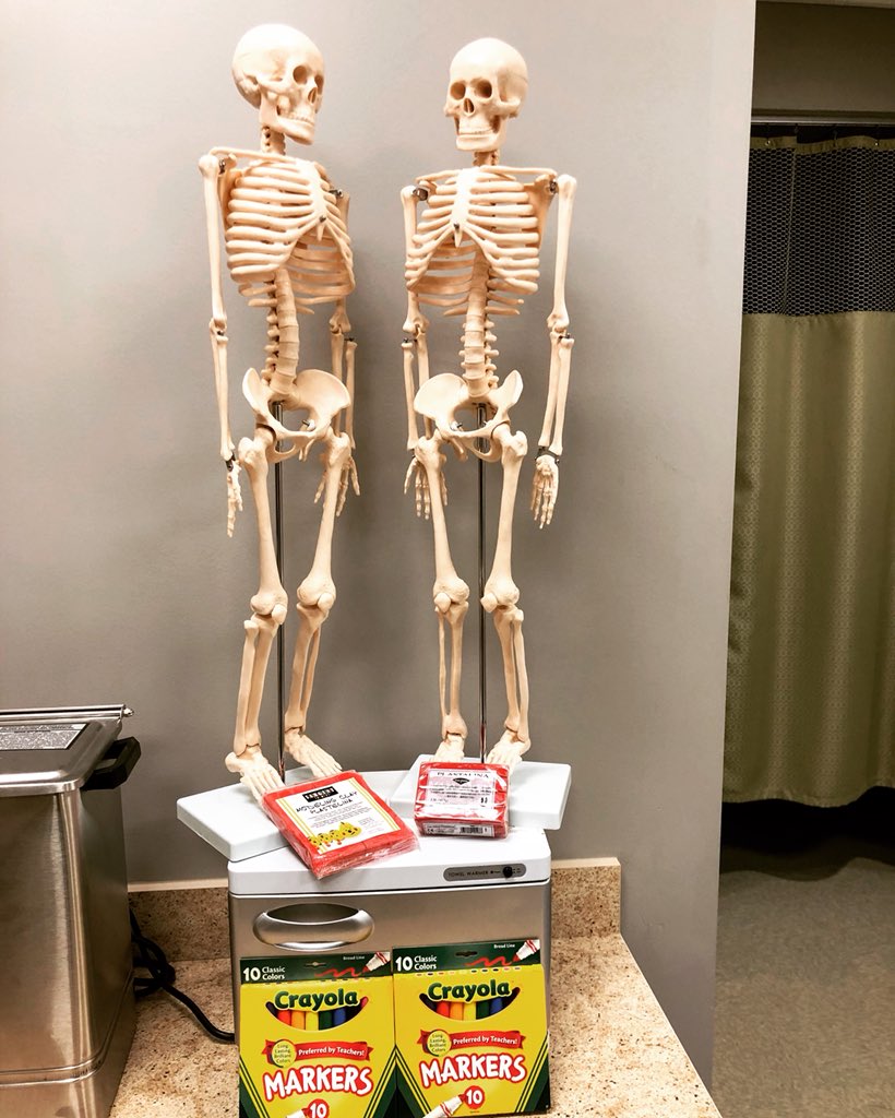 wjmlmt's tweet photo. Teaching tools #musclesinclay #skeleton #muscledrawing #welearnwithourhands #thiscouldgetmessy #massageclass #massagetherapy #MC3Massage @mccc https://t.co/Dsds3GKbG9