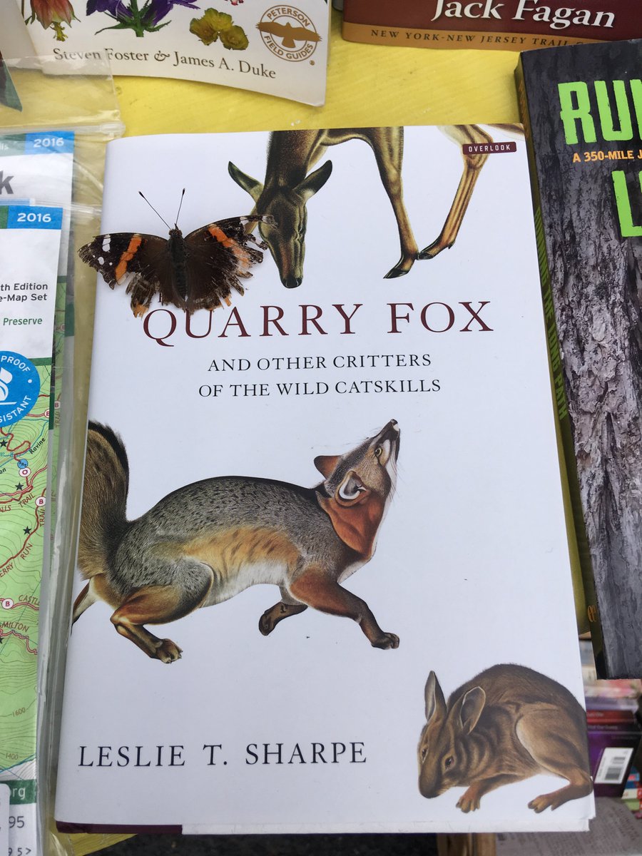 CatskillCritter's tweet photo. Thanks SO much to Jenny Urbanski for interviewing me on her fab show "The Economy. . .of Nature" today on #WIOX 91.3 FM Radio, "The Voice of the #Catskills." It was such a fun and far-ranging conversation, #Catskills critters from black bear to red fox to bobcats, and birds too! https://t.co/aHHSCfezeg