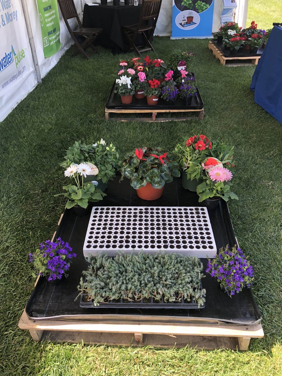 WaterPulseMats's tweet photo. If you haven’t seen our pallet mats in action, come see us at CAST. Our pallet mats are redefining how you water.
#plants #palletmats #pallets #cast #californiaspringtrials #grolink #waterpulse https://t.co/c7LCQ5J1jU