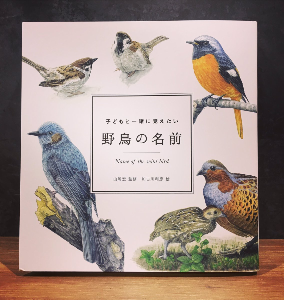 Carlova360nagoya By Libro A Twitter 子どもと一緒に覚えたい 野鳥の名前 マイルスタッフ 入荷しています 身近な野鳥の名前 特徴 居場所 間違えやすい野鳥などを丁寧に紹介する 鳥初心者さんにもおすすめしたい鳥図鑑 ボサボサ頭で赤いほっぺ など