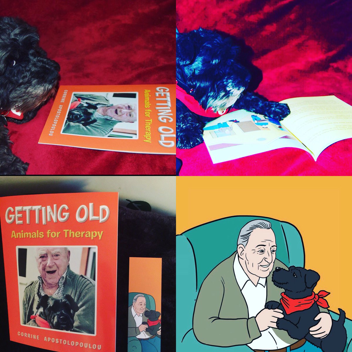 Orangetreepriv1's tweet photo. Our book is ready to order now from website with worldwide shipping #gettingoldbook #bobanddarkie #helpingelderly #helpinganimals #educatingchildren #cartoonstyle #dementiaawareness #animaltherapy ♥️ https://t.co/0xEX8wlEdD