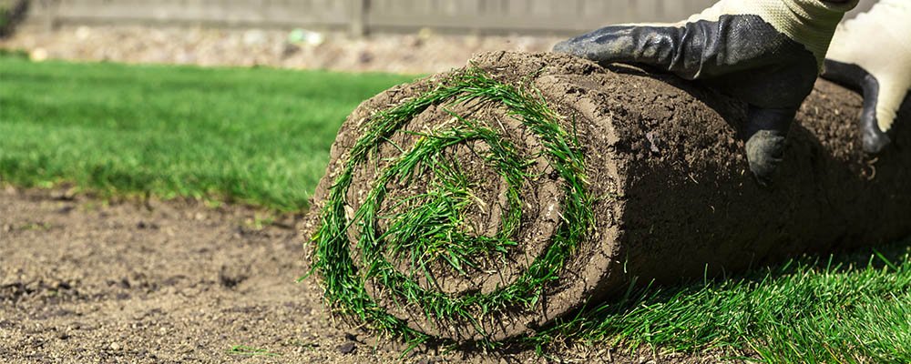 Wist u dat er #graszoden in de webshop van Inkoopgilde staan? Leden en niet leden kunnen heel gemakkelijk hun bestelling doorgeven. Uiteraard profiteren leden van een aantrekkelijke korting! #hoveniers

webshop-inkoopgilde.nl/graszoden-kopen