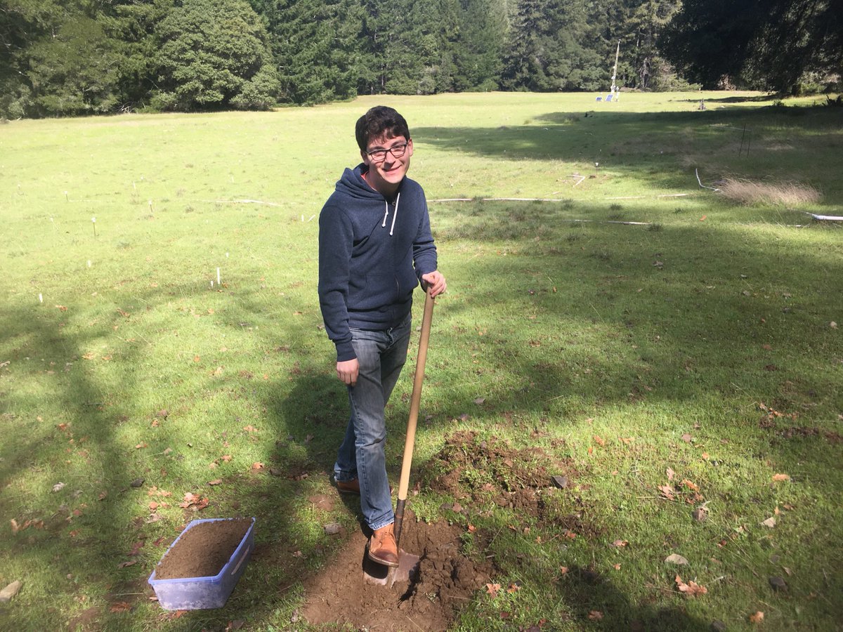 K_BoumaGregson's tweet image. Sampling soil at #UCNRS Angelo Reserve with @acritschristoph and @Patricktwestt. Patrick is excited about a soil eukaryote he found! @BanfieldLab