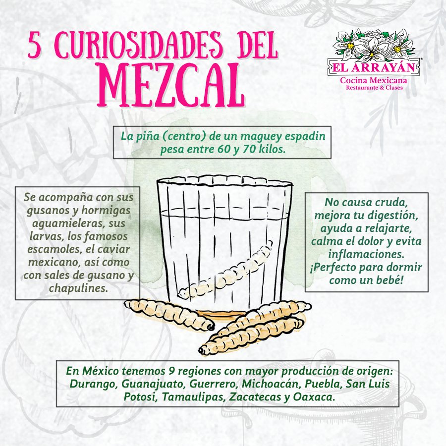 elarrayanpv's tweet photo. Para tomo mal #mezcal, para todo bien, también 😉
#Curiosidades #SaboresdeMexico #ElArrayanPV #Mexquisito #Mexico https://t.co/Yj5bo2PWxR