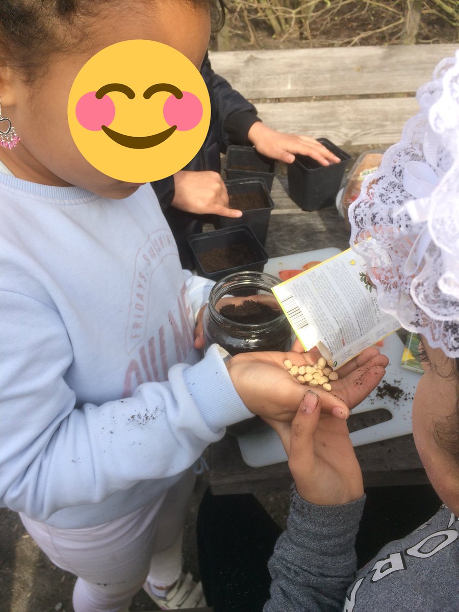 silverkula123's tweet photo. Vår årliga tomatplantering i samarbete med Spåkulan @stenkulaskolan #stenkulaskolan https://t.co/qvqjEj91Sy