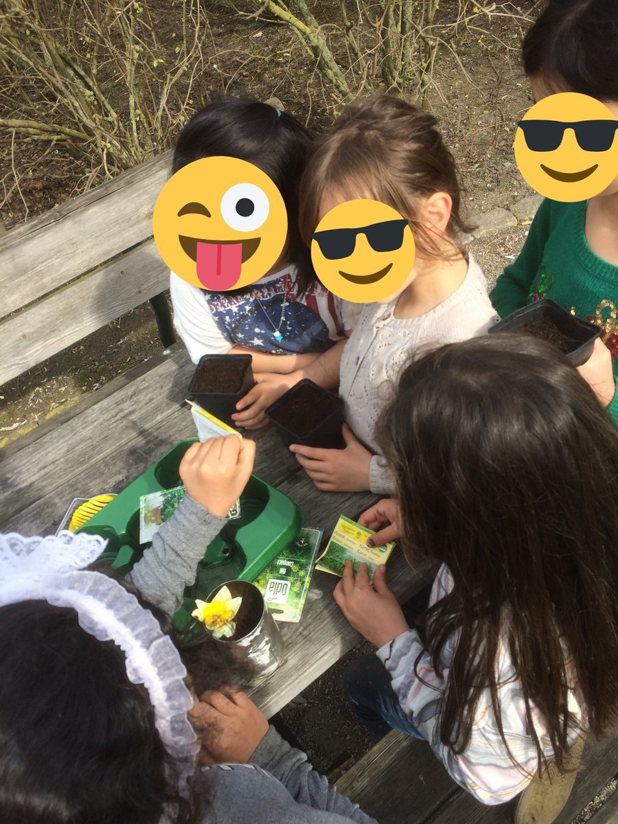 silverkula123's tweet photo. Vår årliga tomatplantering i samarbete med Spåkulan @stenkulaskolan #stenkulaskolan https://t.co/qvqjEj91Sy