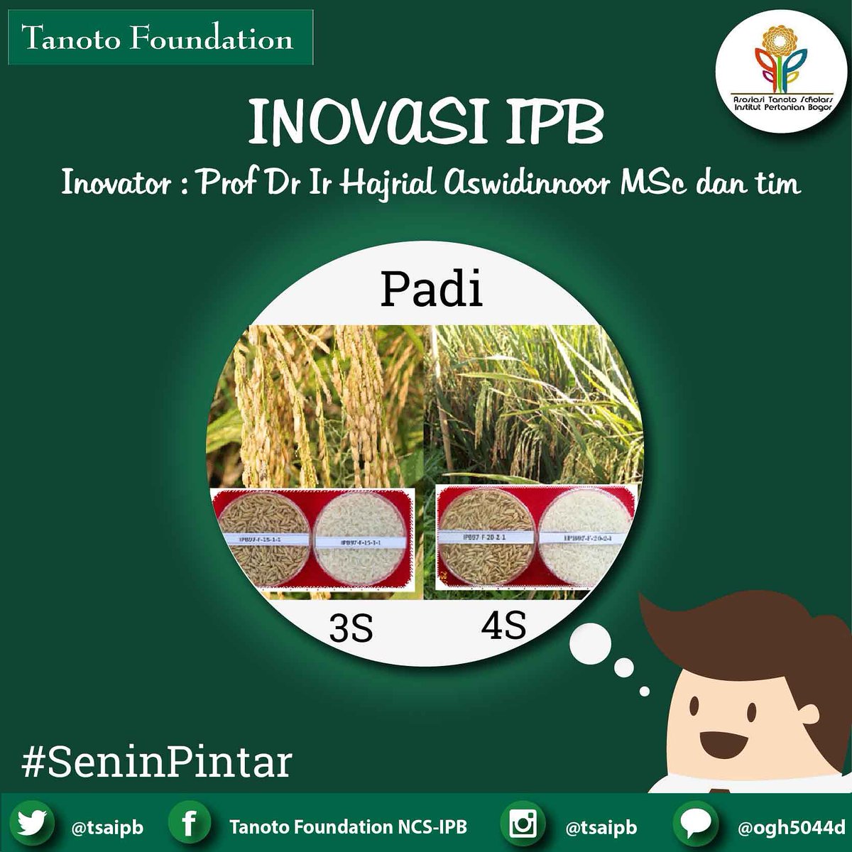tsaIPB's tweet photo. [Inovasi IPB]
Hi T-Friends
Senin pintar kita hari ini akan membahas mengenai padi inovasi IPB varietas 3S dan 4S
Informasi lengkapnya dapat dilihat di ig @tsaipb maupun di website https://t.co/sb4GfyUaYi
#tanotoscholars #TanotoFoundation #tsaipb @tanotoeducation #TanotoEducation https://t.co/oCFiJZwm6C