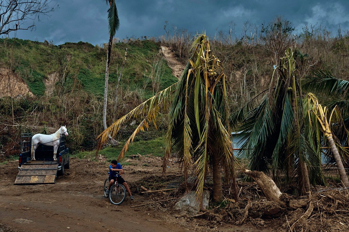 . <a href="/AndresKudacki/">Andres Kudacki</a> won the Single Nature and Environment 2nd prize with his "Puerto Rico Hurricane Aftermath" entitled photo in #IstanbulPhotoAwards 2018.