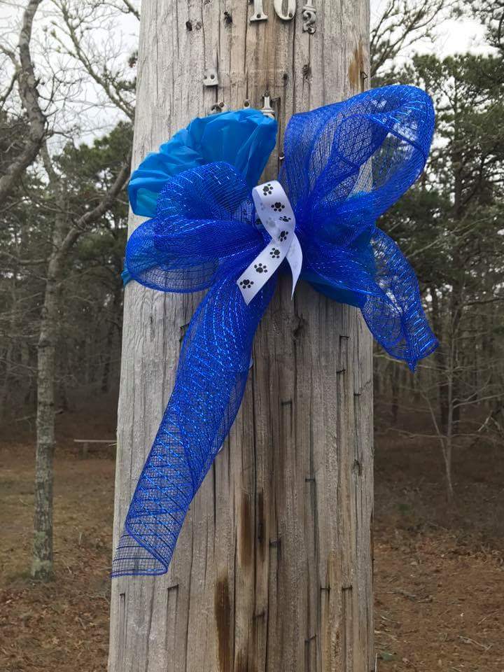 TRWhelan's tweet photo. From @yarmouthpolice :
TURN CAPE COD AND THE ISLANDS BLUE!!  
 Please help us show our love and support for Officer Sean M. Gannon and K9 Nero and turn Cape Cod BLUE!  💙💙💙💙💙💙💙💙💙💙💙💙💙💙💙 https://t.co/8MXPYK9Fya