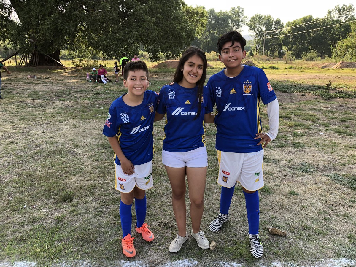 toritosbullskennels tweet media