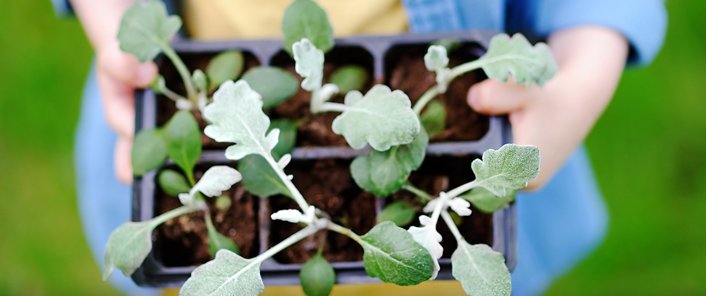 evvvai's tweet photo. 7 TRUCCHI PER UN #SEMENZAIO EFFICACE
https://t.co/S3Ii8aPWFR
#semi #piante #orto #giardinaggio #agricoltura #piantine #vivaio https://t.co/mzjUziqxW9