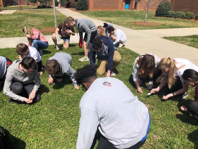 panthers_jchs's tweet photo. Honors Biology became birds today as they are investigated natural selection by using different traits to collect different colored “bugs” (beans). @GSTANews @NEGARESAScience #EngagedLearning #CreativeTeaching #Science #ProudtobeJC https://t.co/WhqRmbFrG4