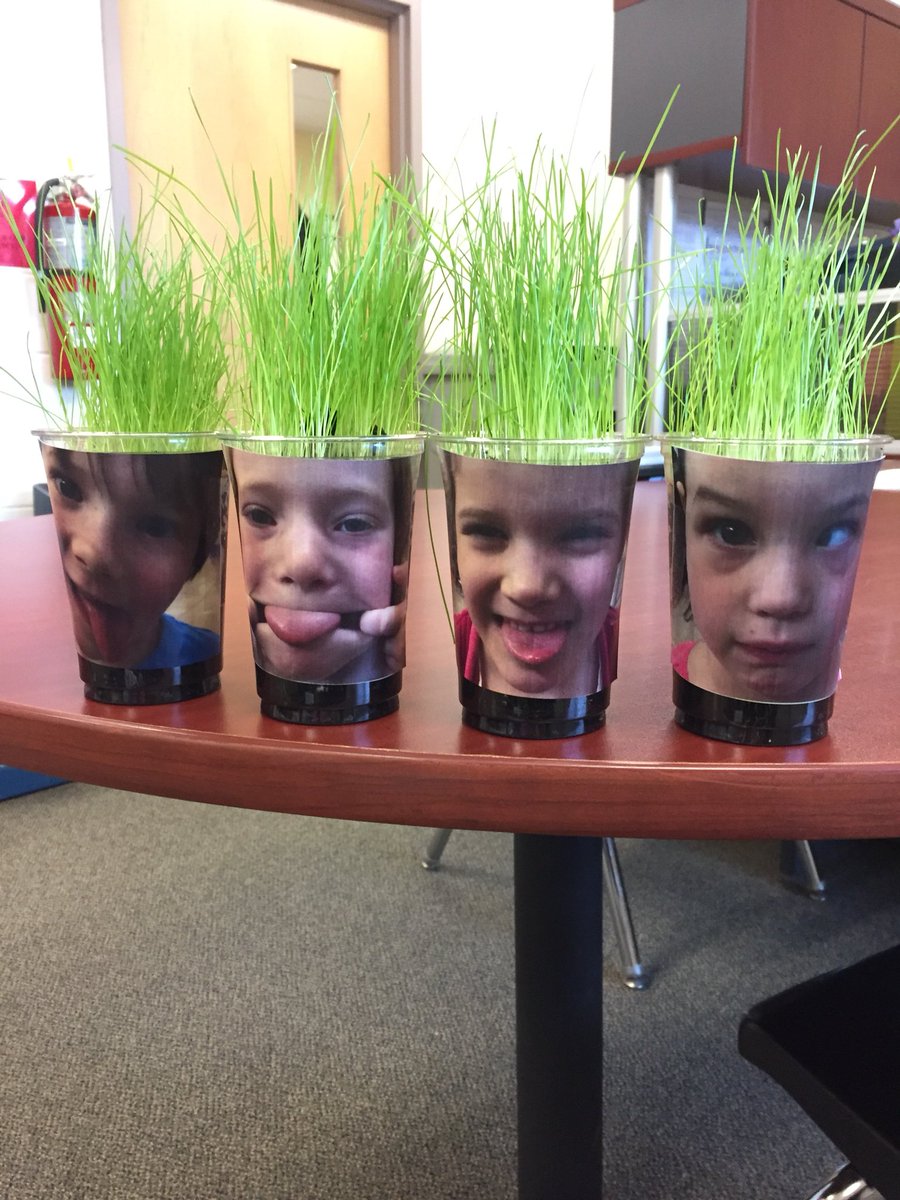 LittleFallsPS's tweet photo. When Spring doesn’t decide to come to us outside, we can count on friends to bring it to us!Here’s to greener days! https://t.co/eqajKeVVO1
