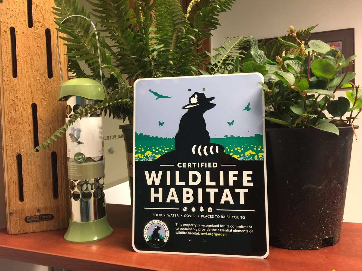 DJackFOX13's tweet photo. Create your own wildlife habitat, no matter the space. @EllenTailor will show you how with our friends from @NWF Tune in to #Q13FOX News This Morning! https://t.co/1FY2YfCLk7