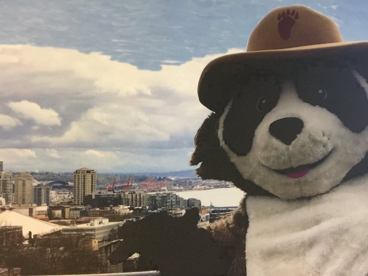 DJackFOX13's tweet photo. Create your own wildlife habitat, no matter the space. @EllenTailor will show you how with our friends from @NWF Tune in to #Q13FOX News This Morning! https://t.co/1FY2YfCLk7
