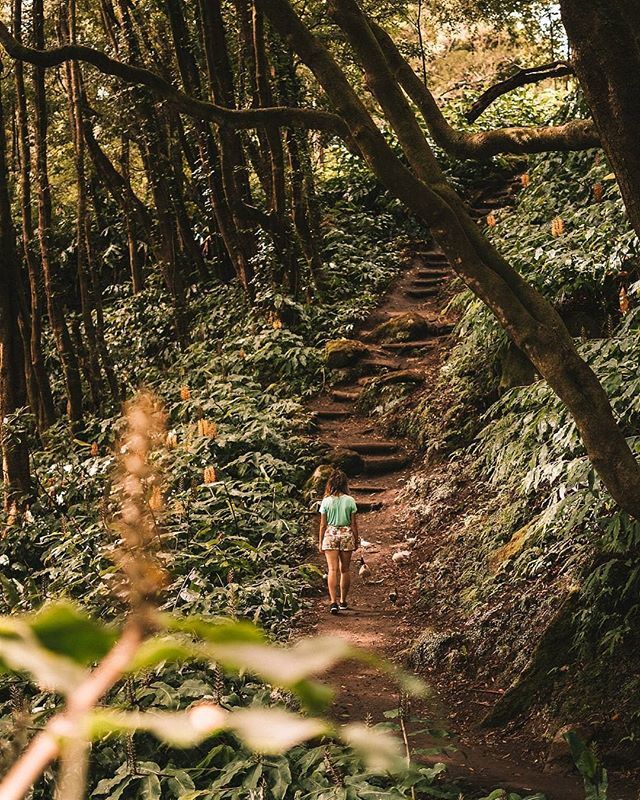 AzoresWhatElse's tweet photo. Photo By @ric4lves - 40 min trail and I was almost out of breath! Definitely need to exercise more to keep up with these travels!
π§@adventure__sparkle .
.
.
.
#azoreslovers #visitazores #weshareportugal #igersazores #visualuprising #visualoutbreak β¦ https://t.co/GlSzHa3X4p https://t.co/RJKRXta6rW
