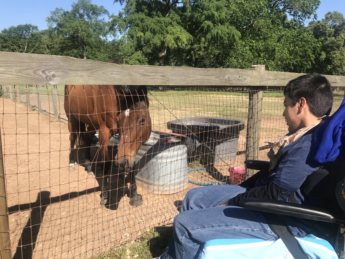 jtuckers_class's tweet photo. Beautiful day at SIRE! #volunteer #makeanimpact #community #journey For more pictures visit us @ https://t.co/SlchYL2vNH https://t.co/7tIPEq89Kt