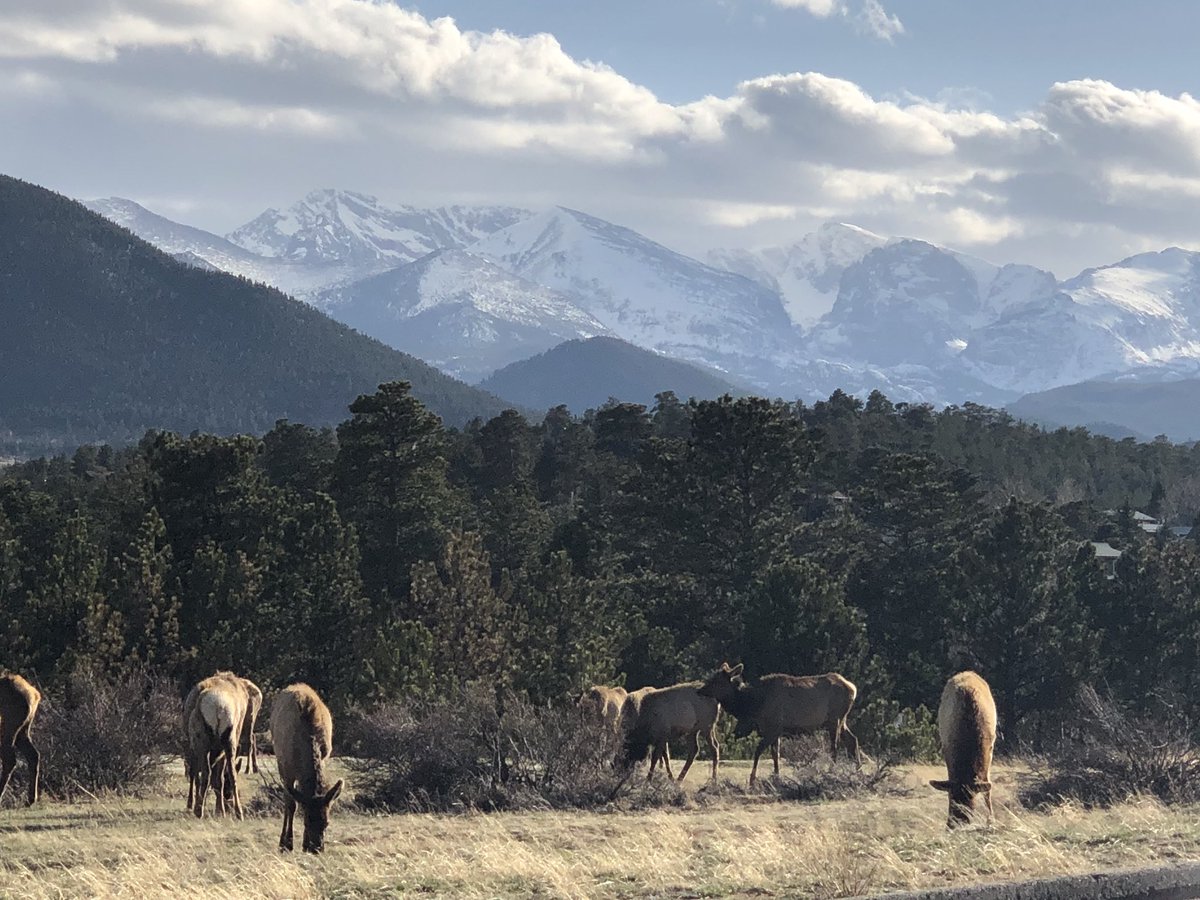AviatorAngie's tweet photo. Colorado views. Aviation takes us to magical places #Aviation #Colorado #travel #wanderlust https://t.co/2XFk5Ot69c