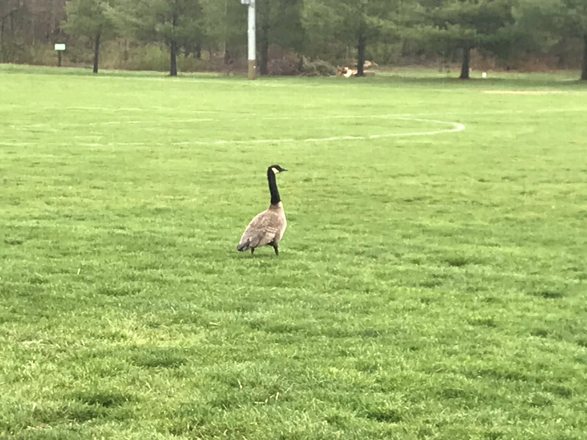 We got a lot of soccer in on Saturday. Ready for winter to be over!