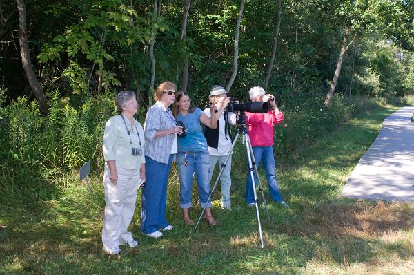 Each spring, thousands of birders and biologists participate in the North American Breeding Bird Survey (BBS). Intrigued? We are currently looking for skilled birders to join the team and help survey routes around Ohio! ow.ly/Y09x30jvJcl #wildohio #birding #BBS #birdsurvey