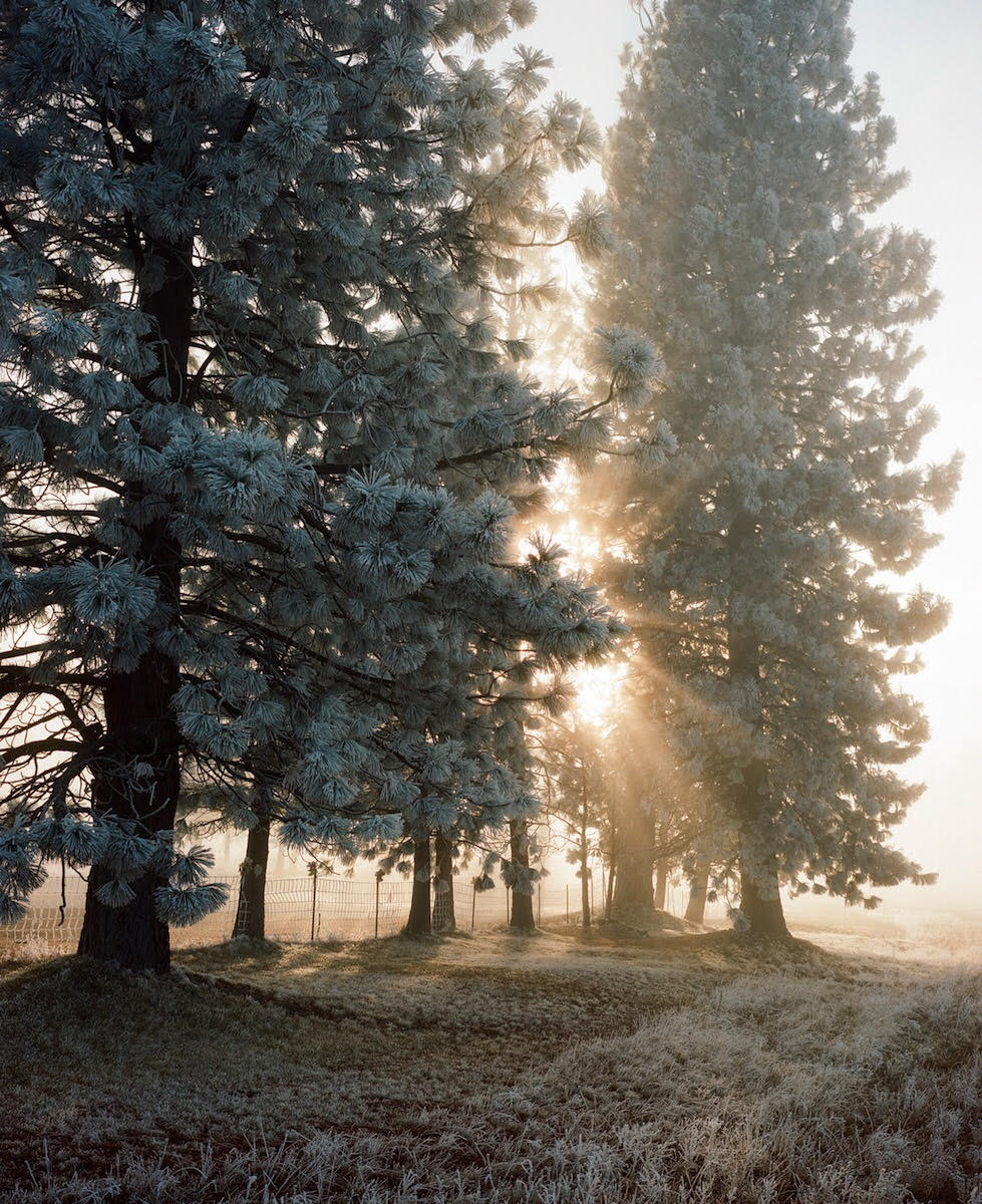 mastersofphoto's tweet photo. In lesson 15, Joel Meyerowitz teaches you to 'let light be your subject'. Great shot by David Harlan
https://t.co/DMscD68fiR
#mastersofphotography #mastersofphoto #photostream #picoftheday #photooftheday #light #trees https://t.co/XuVWrXVIFC