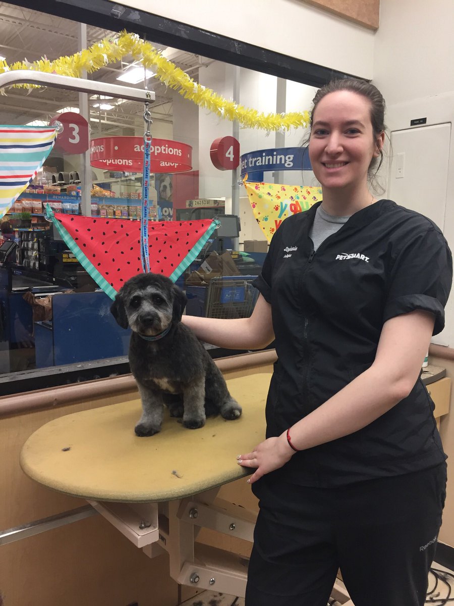 Congratulations to Stephanie @ 919 Ancaster!! As of today Stephanie is Southern Ontario’s newest Pet Stylist!! Can I get a “whoot whoot”!! 🎉🎉 #SITgraduate #DATlife @BrandenKennedy3 <a href="/robsmithbluejay/">Rob Smith</a> <a href="/NicoleMorris_QE/">Nicole Morris</a> @PetSmart_DaveK <a href="/AmyCatherine_/">Amy Janzen</a>