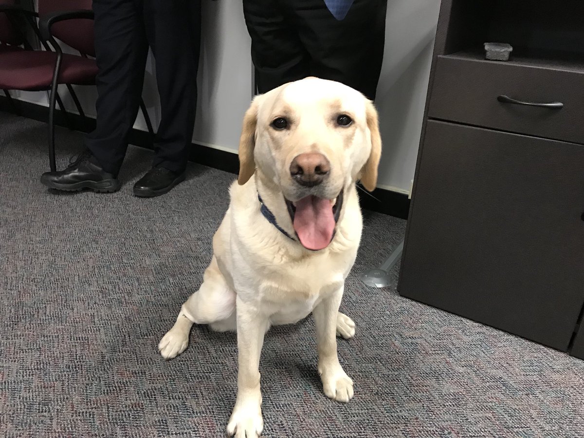 LilyWuKansas's tweet photo. We love it when guests join us for the daily @WichitaPolice briefing. #interwatch @knssradio https://t.co/MLm1hPZvPY