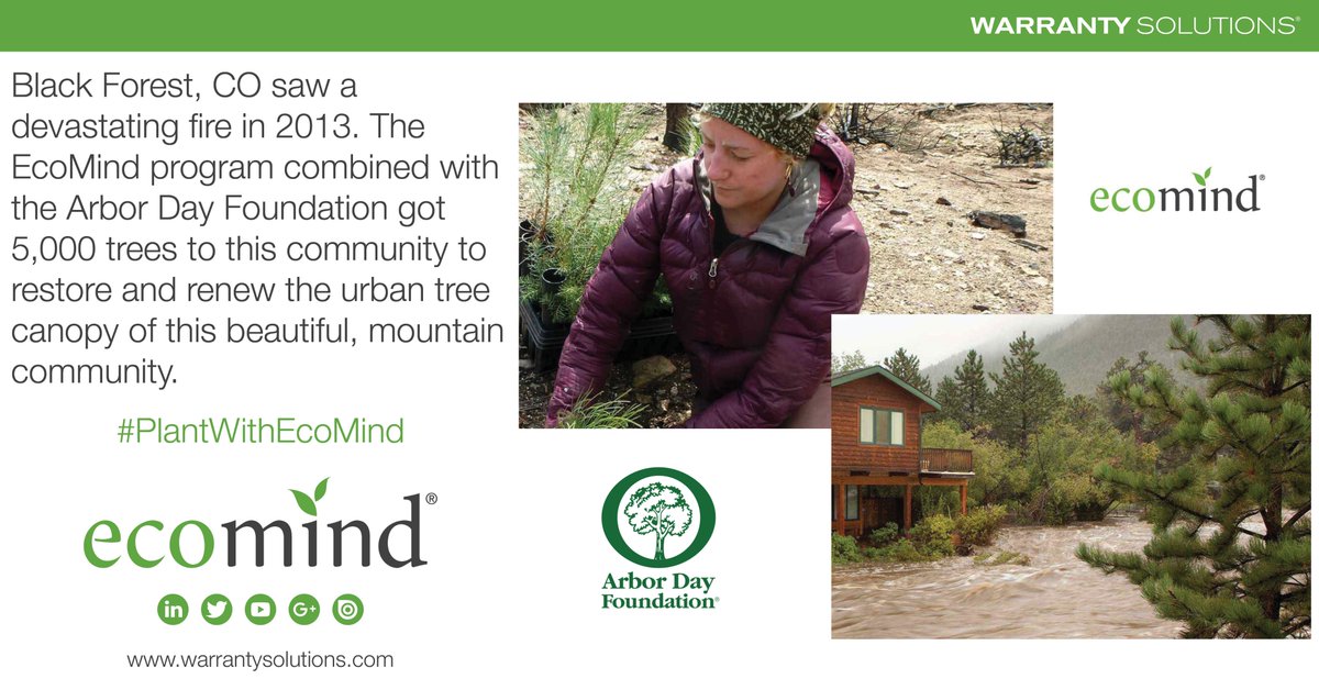 WS_Amynta's tweet photo. Black Forest, CO saw a devastating fire in 2013. The EcoMind program combined with @ArborDay got 5,000 trees to this community to restore and renew the urban tree canopy of this beautiful, mountain community. #PlantWithEcoMind https://t.co/wsAsdEWfJP