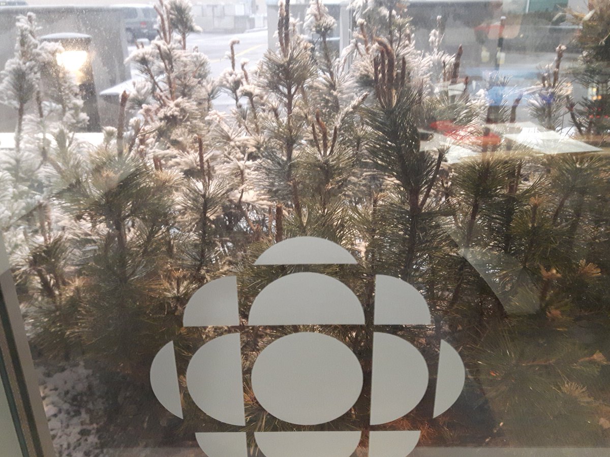 SidTheShrub's tweet photo. Drat. I can't feel my buds. #snownomore https://t.co/o2uVCYVS0Z