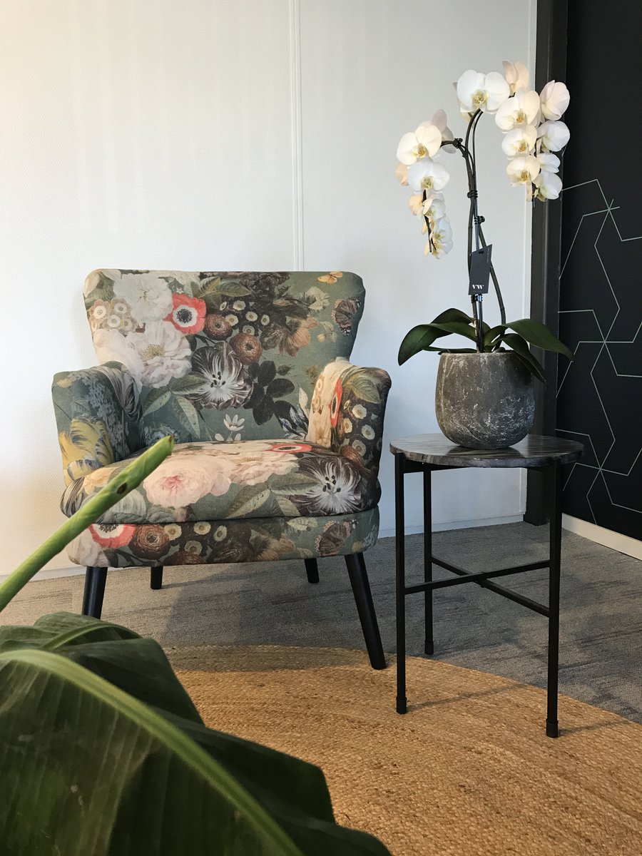 Pullposition's tweet photo. Of we van orchideeën houden? We don't like it, we love it! Wij weten wel hoe we ons kantoor kunnen aankleden met deze beauties. Kijk maar eens rond... #pullposition https://t.co/7hj3yGrETB