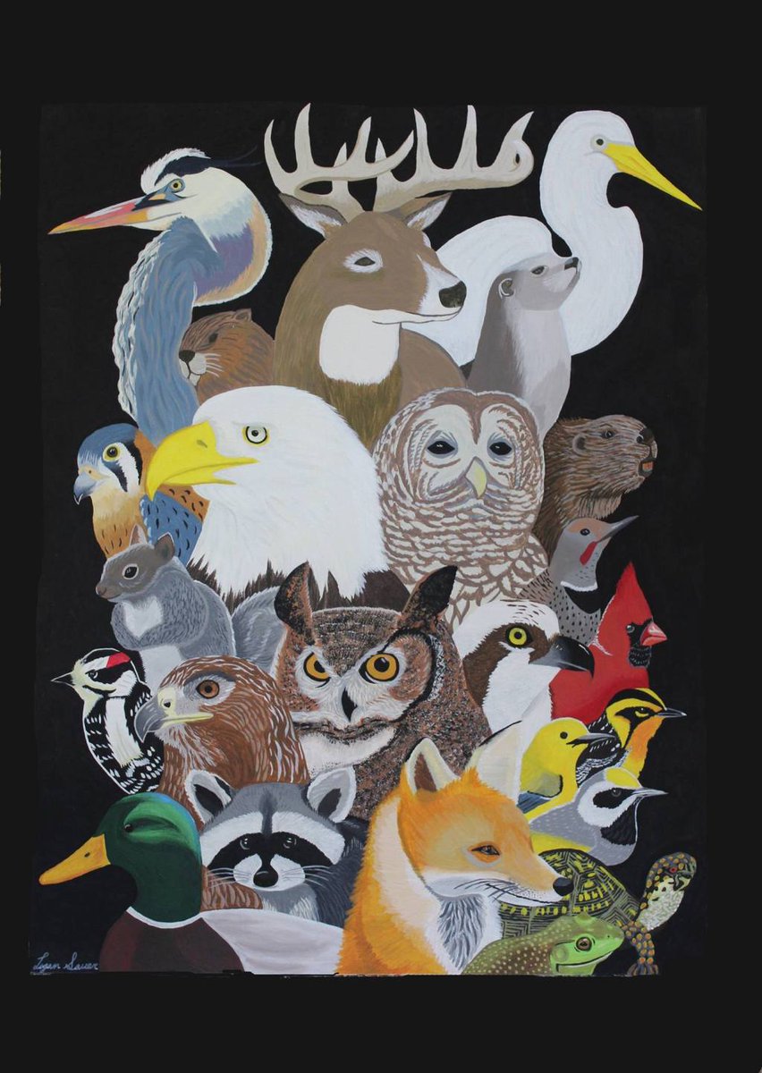 USFWSNortheast's tweet photo. Inspiring Others Through Art https://t.co/Q13FnJQ5N0 https://t.co/wfO7G8Ihxh