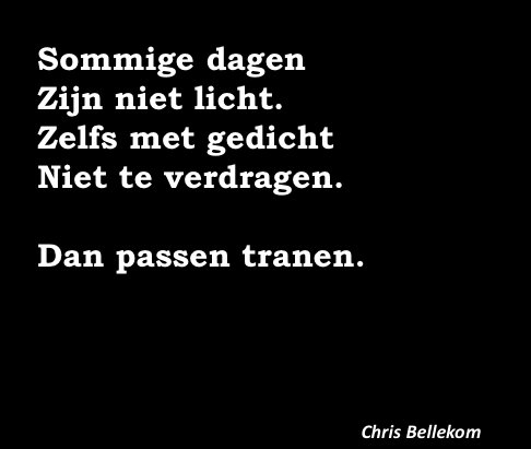 StadsdichtGouda's tweet photo. Een kind is dood in Gouda. Wij rijmen dus vandaag niet meer. Deze van @chrisbellekom is de laatste en we sluiten het twitterloket voor de rest van de dag. Knuffel vandaag je kind, en zeg hoeveel je van hem of haar houdt. https://t.co/gkjLucAceg