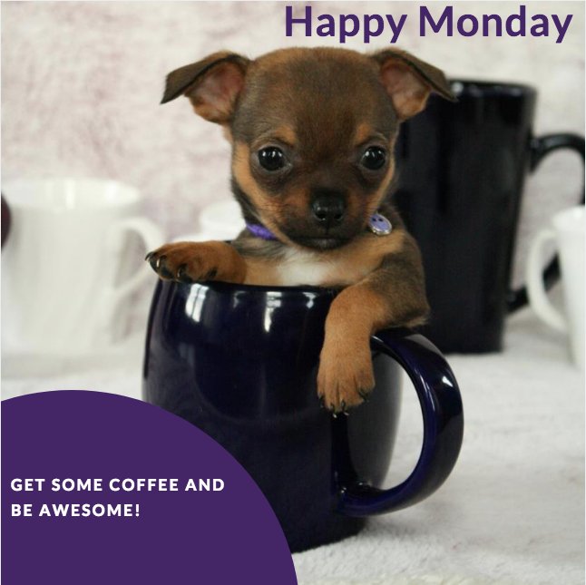 Amelix Group tweet media