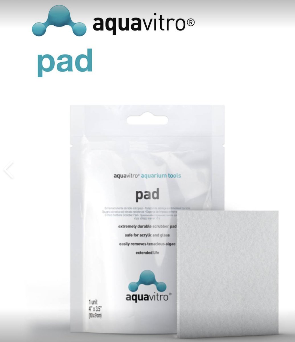 AMAquatics's tweet photo. Thank you to @seachem for another great, quality product.  The new algae pads have been a big hit in our fish room.  They're especially nice for getting up into corners. https://t.co/AnKQCFz2r2