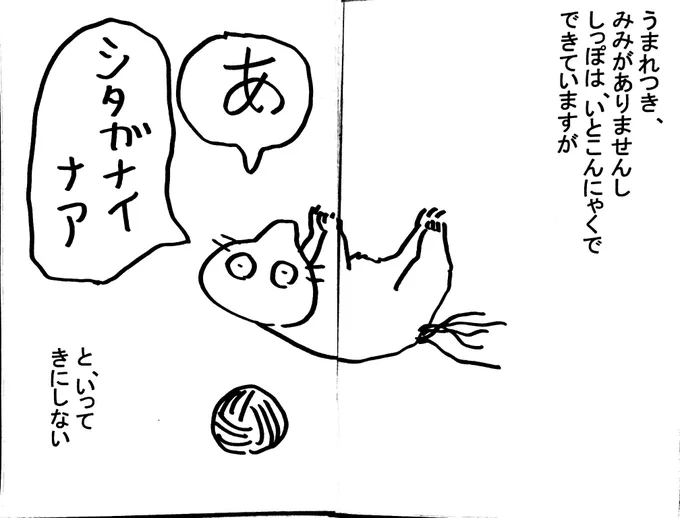@nskw96 ありがとうございます！ これはへんな猫のシタガナイナアという生き物です！（意味不明ですみません…汗） 