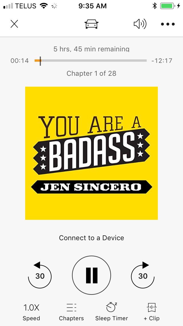 LaceysCreations's tweet photo. Listening to this while I sew today. What book are you reading or listening to right now? https://t.co/zD7wRkYLVL