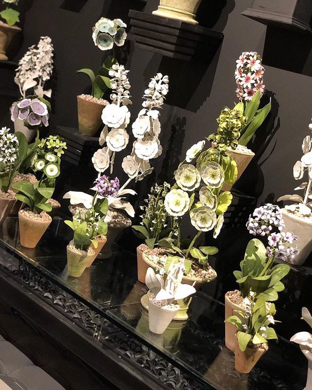 ANDMOREhpmkt's tweet photo. @shaylacopas for #DesignonHPMkt
WOW!! @tommymitchellco Painted Flower Collection is trending and SO amazing! (Tommy Mitchell Showroom IHFC IH306 Interhall) #designOnHPMkt #HPMKT #shaylacopas #shaylacopasinteriors #tommymitchellco #IHFC #InterHall https://t.co/dTNCUnRoYB https://t.co/uYAAmN17ei