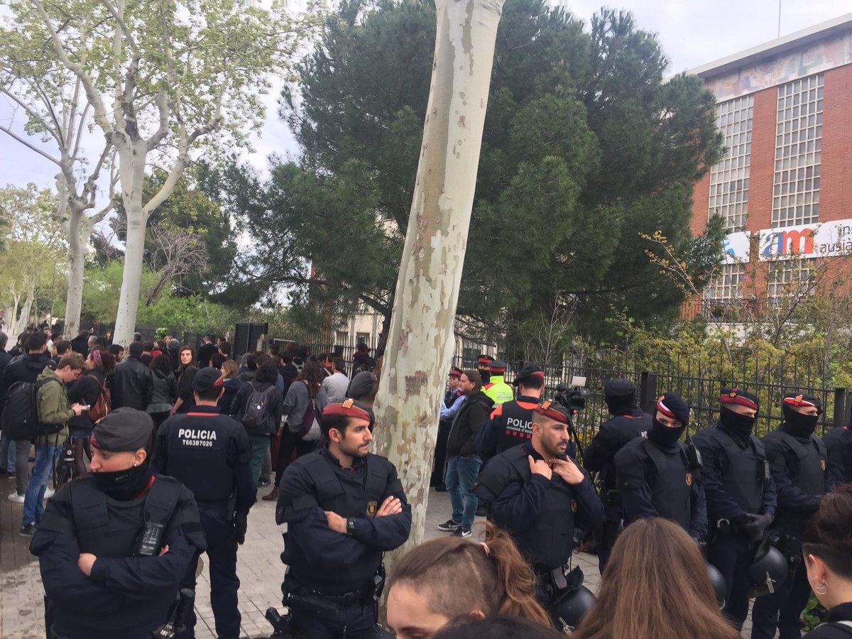 Adriana Llena tweet media