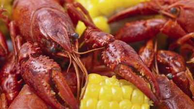 WGNOtv's tweet photo. ‘Crawfish for Cancer’ event will feature nine teams in boil-off https://t.co/TR3QHtgU8E  #crawfishforcancer #crawfish #cancerresearch https://t.co/Ybv5E02p7Z