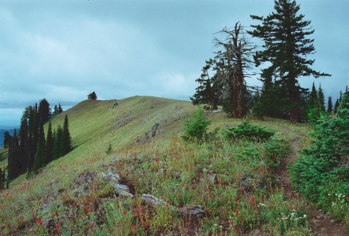 ForestServiceNW's tweet photo. "Over every mountain there is a path, although it may not be seen from the valley."-Theodore Roethke #MondayMotivation https://t.co/92NCAYBE9A