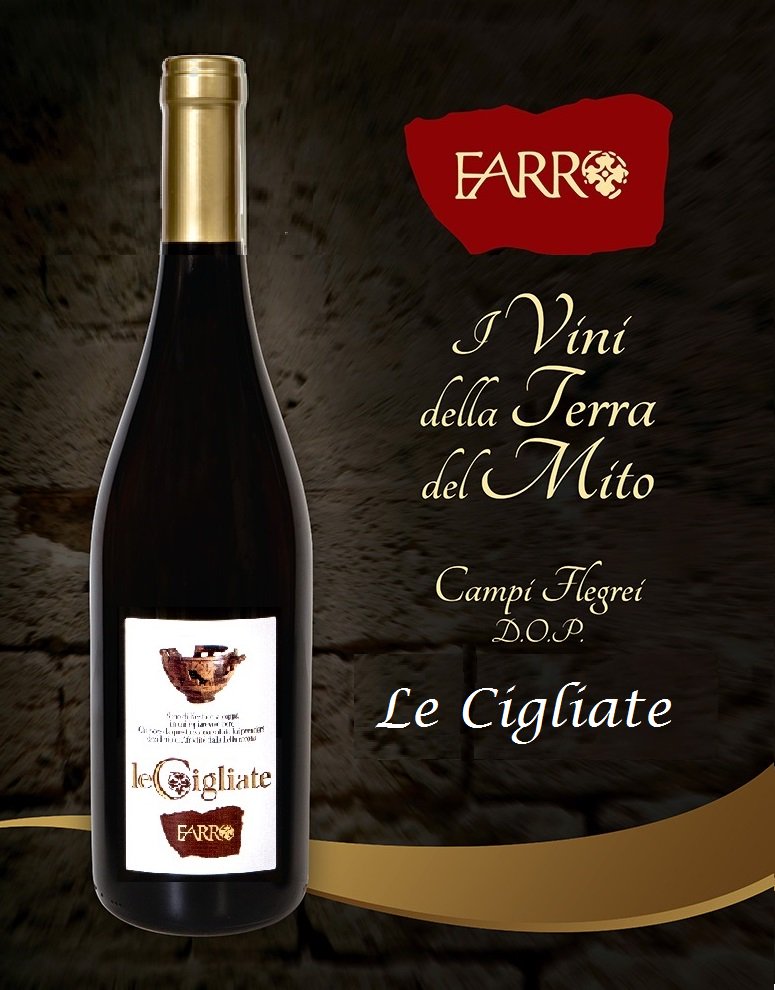 cantinefarro's tweet photo. Campi Flegrei...
...i Vini della Terra del Mito

#campiflegrei #vino #falanghina #piedirosso #vini #lecigliate #rosato #vinideicampiflegrei #bacoli #depierose #perepalummo #farro #cantina #vieniatrovarci #cantinefarro #terradelmito

https://t.co/vMaqvk1lBM https://t.co/CeNchVuHLg